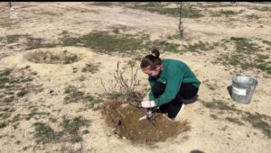 WhatsApp Image 2025-08-29 at 15.53.52 (1)